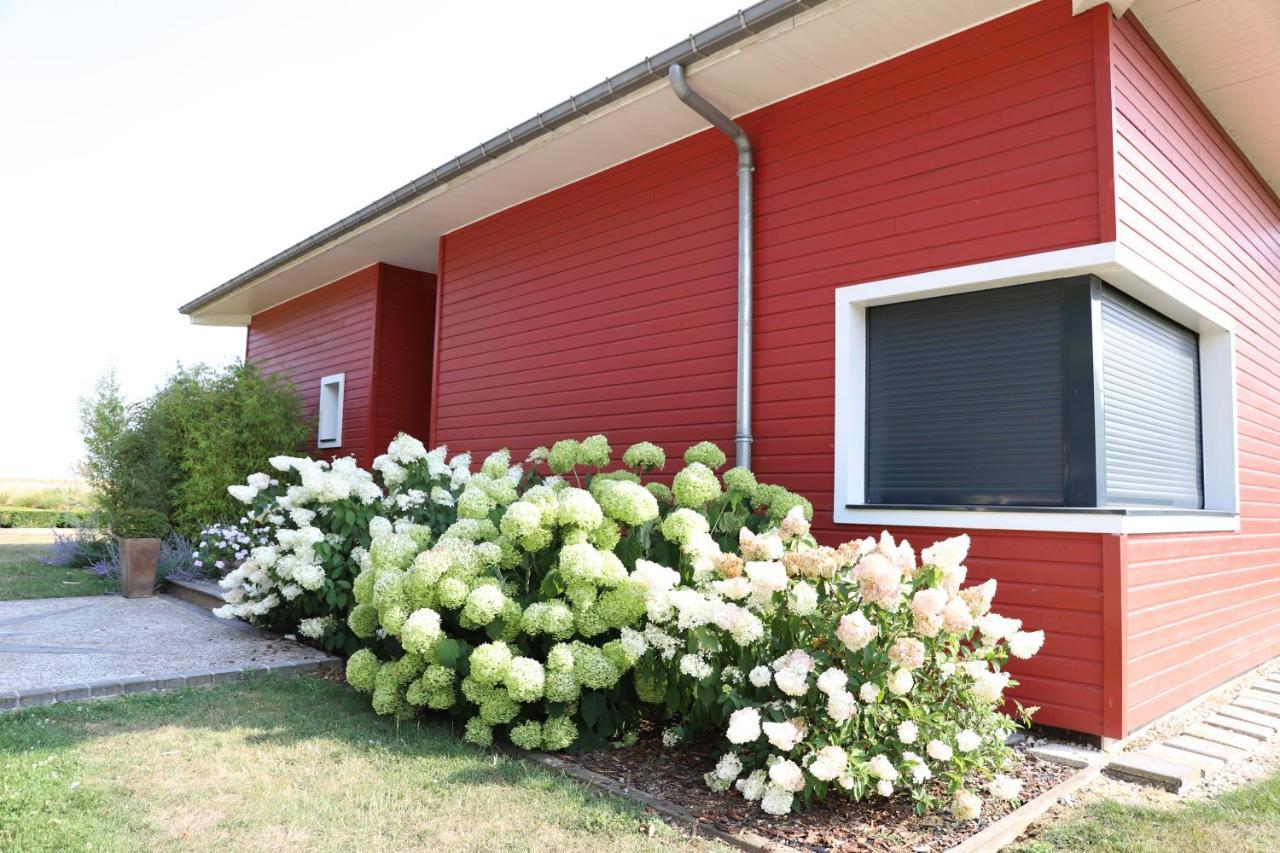 L'Escale Aux Framboises Bed & Breakfast Rouy-le-Petit ภายนอก รูปภาพ